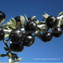 Medlar Non Pesticide Residues Black Wolfberry